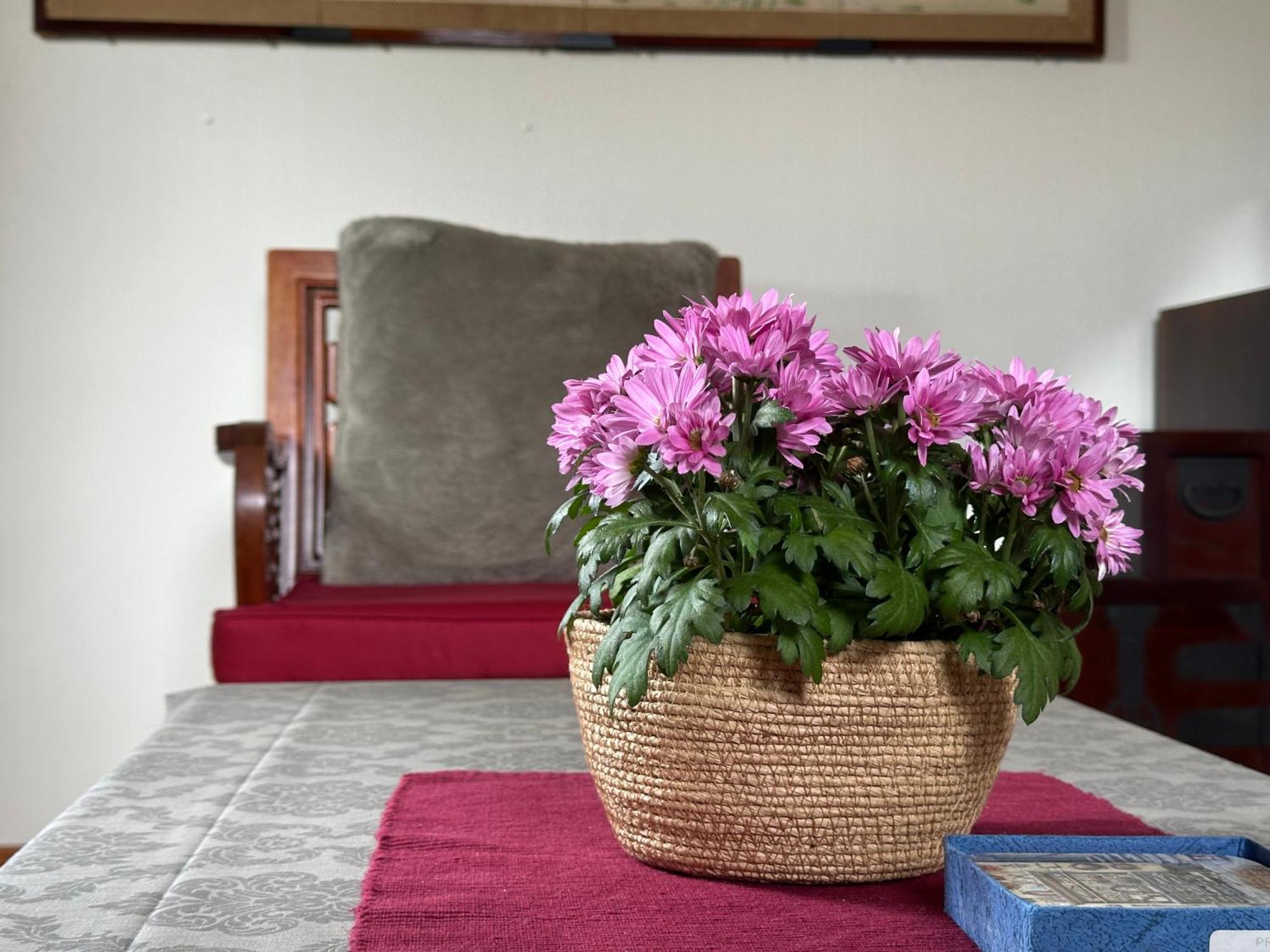 Lovely Fully Furnished Apartment Ottestad Экстерьер фото